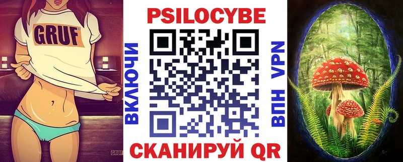 Псилоцибиновые грибы MAGIC MUSHROOMS  купить закладку  Ясногорск 